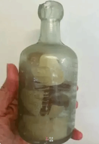 109年前士兵的漂流瓶被发现 家属感叹“奇迹重逢”