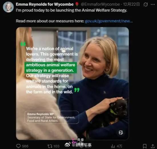 英国政府宣布禁止活煮龙虾、螃蟹 餐饮行业怒了