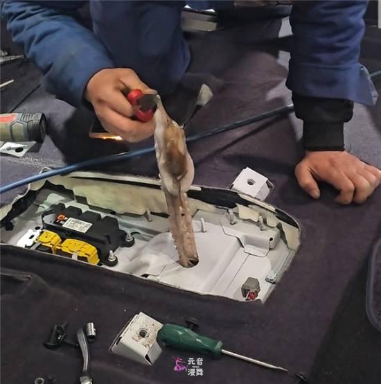 八爪鱼钻车内失踪3天车主崩溃 差点把维修人员熏吐